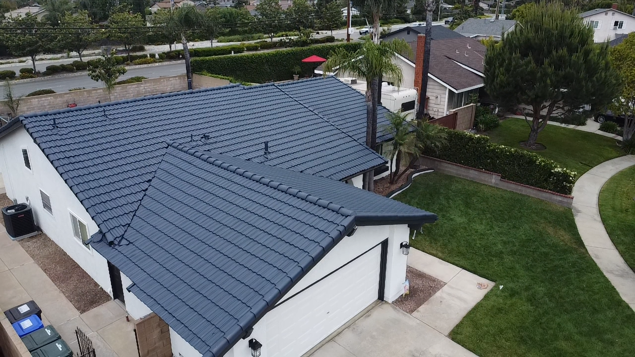 Roof Painting
